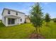 The backyard is spacious, showcasing a covered patio, lush lawn, and newly planted trees at 232 Flag Lilly Ln, Umatilla, FL 32784