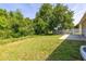 Large backyard with lush greenery, mature trees, and a white picket fence at 265 Curtis Ave, Groveland, FL 34736