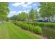 Scenic view of the community featuring lush landscaping, a canal, and well-maintained streets at 438 Water St # 438, Celebration, FL 34747