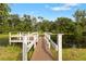 Wooden dock over a pond surrounded by trees and greenery on a sunny day at 2851 Wagon Ct, St Cloud, FL 34772