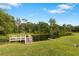 Picturesque pond features a small dock and is surrounded by lush trees and foliage at 2851 Wagon Ct, St Cloud, FL 34772