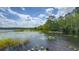 Picturesque lake with lily pads and lush green surroundings, offering a serene and natural setting at 3349 Schoolhouse Rd, Harmony, FL 34773