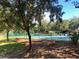 Community tennis court surrounded by lush landscaping and mature trees at 6957 Northwich Dr, Windermere, FL 34786