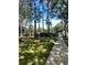 A lovely walkway running along a green space with tall trees, providing a scenic and serene experience at 6957 Northwich Dr, Windermere, FL 34786