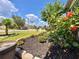 Landscaped front yard featuring a vibrant garden bed with blooming flowers and lush green plants at 810 Jefferson Blvd, Haines City, FL 33844