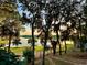 Backyard view overlooking the lake, featuring mature trees and lush grass creating a peaceful setting at 822 S Breen Rd, Lake Wales, FL 33898