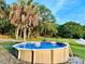 Backyard pool surrounded by lush greenery, creating a private oasis for relaxation and enjoyment at 822 S Breen Rd, Lake Wales, FL 33898