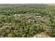 Lush aerial view of homes and mature green trees extending to the horizon at 8310 Happy Trails, Kissimmee, FL 34747