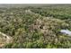 Expansive aerial view showcasing a home nestled among dense trees and lush green foliage at 8310 Happy Trails, Kissimmee, FL 34747