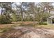 Expansive backyard with lush greenery and mature trees providing ample shade and privacy at 8310 Happy Trails, Kissimmee, FL 34747