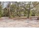 View of home through a forest with lush greenery and mature trees providing ample shade and privacy at 8310 Happy Trails, Kissimmee, FL 34747