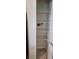 Walk-in pantry with shelving for organized storage of household goods and supplies at 1556 Aspen Ave, Davenport, FL 33837