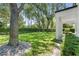 Lush green backyard with mature trees offering shade and privacy near white columned patio at 9799 Covent Garden Dr, Orlando, FL 32827