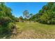 Vast backyard with lush greenery, perfect for outdoor gatherings and enjoying nature at 1096 Dyson Dr, Winter Springs, FL 32708