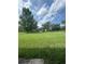 Expansive grassy backyard with mature trees and distant views, great for outdoor activities at 3244 River Branch Cir, Kissimmee, FL 34741