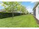 Large, well-kept backyard with lush green grass, complemented by privacy hedges and a screened patio at 5025 Sunfalls Ave, St Cloud, FL 34772