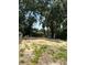 Large backyard has mature trees providing ample shade and privacy at 1101 28Th Nw St, Winter Haven, FL 33881