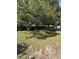Lush backyard with mature trees providing shade, wooden fence, and lots of space at 6489 Creation St, St Cloud, FL 34771