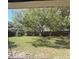 Large backyard with a sprawling green lawn, mature trees, and a wooden fence at 6489 Creation St, St Cloud, FL 34771