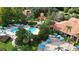Aerial view of community pool area surrounded by trees, lounge chairs, umbrellas, and a clubhouse at 8517 Bay Lilly Loop, Kissimmee, FL 34747