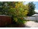Lush backyard featuring a vibrant Pride of Barbados tree and a white privacy fence at 8835 Abbey Leaf Ln, Orlando, FL 32827