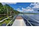 Dock on the water surrounded by lush greenery, with a beautiful blue sky filled with clouds at 8835 Abbey Leaf Ln, Orlando, FL 32827