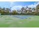 Well-maintained tennis court surrounded by trees and lush greenery at 1231 Wright Cir # 1213, Celebration, FL 34747