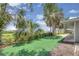 Lush green backyard with tropical plants, offering a serene outdoor space at 203 Parkwood Ln, Edgewater, FL 32132
