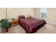 Cozy bedroom with plush carpet, a comfortable bed, and a bedside table with a lamp at 3391 Cortland Dr, Davenport, FL 33837