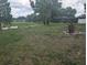 View of the backyard with a pond at 4345 Old Colony Rd, Mulberry, FL 33860
