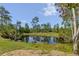 Scenic view of the tranquil pond surrounded by lush greenery and tall pine trees at 4730 Cypress Creek Ranch Rd, St Cloud, FL 34771