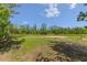 Spacious grassy area great for recreation and outdoor activities and featuring a backdrop of tall trees at 4730 Cypress Creek Ranch Rd, St Cloud, FL 34771