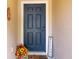 Inviting entryway featuring a dark blue door, welcome mat, and potted flowers creating a warm ambiance at 56 Levee Ln, Ormond Beach, FL 32174