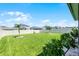Expansive backyard with lush green grass, privacy fence, and young palm trees at 1139 Seedorf Dr, Winter Haven, FL 33881