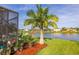 Lush backyard with well-kept lawn, showcasing a tropical palm and serene lake views at 1760 Boat Launch Rd, Kissimmee, FL 34746