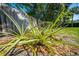 A pineapple plant is one of the many tropical plants featured in this home's yard at 2376 Nightingale Ln, Kissimmee, FL 34746