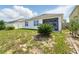 Rear exterior of home displaying the lawn, and screened patio at 2416 White Poppy Dr, Kissimmee, FL 34747