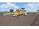 Community playground with slides, swings, climbing equipment, and safety surface at 2416 White Poppy Dr, Kissimmee, FL 34747