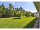 Expansive backyard featuring lush green grass and tropical palm trees, perfect for outdoor enjoyment and relaxation at 582 San Joaquin Rd, Poinciana, FL 34759