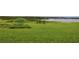Green backyard with views of the lake at 860 Oak Shore Dr, St Cloud, FL 34771