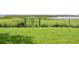 Fenced backyard with view of the lake beyond at 860 Oak Shore Dr, St Cloud, FL 34771