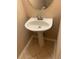 Clean powder room with pedestal sink and neutral decor at 13620 Cepheus Dr, Orlando, FL 32828