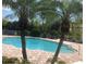 Community swimming pool with brick trim and lush tropical palm trees at 13838 Fairway Island Dr # 1418, Orlando, FL 32837