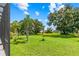 Expansive backyard featuring manicured green lawns, mature shade trees, and lush tropical landscaping at 3427 Harborside Ct, Kissimmee, FL 34746