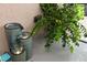 Water fountain feature on the patio with a large leafy green plant at 4800 Riverwalk Dr, St Cloud, FL 34771