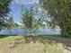Lush bamboo provides privacy for the lakefront backyard at 86 Blackberry Creek Dr, St Cloud, FL 34769