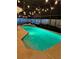 Stunning backyard pool with landscaping and ambient lighting to create an inviting oasis at 11922 Ottawa Ave, Orlando, FL 32837