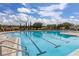 Spacious community pool with lane markers, poolside seating, and beautifully landscaped surroundings for residents to enjoy at 3606 Solana Cir, Clermont, FL 34711