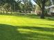Lush green lawn, shaded by mature trees, creates a tranquil and inviting outdoor space at 416 Howard Ave # D, Lakeland, FL 33815