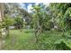 Landscaped backyard with trees and lush green ground cover at 600 Regency Way, Kissimmee, FL 34758